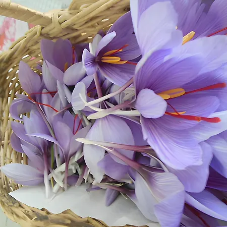 La Longere De La Combe - Claudine *